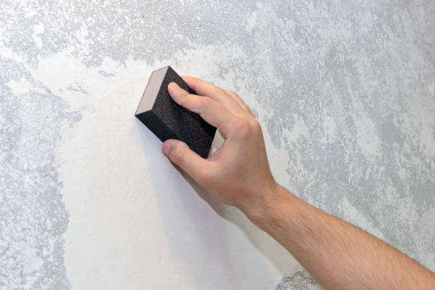 Best Environmental Consulting for Mold Prevention  in Cold Springs, NV