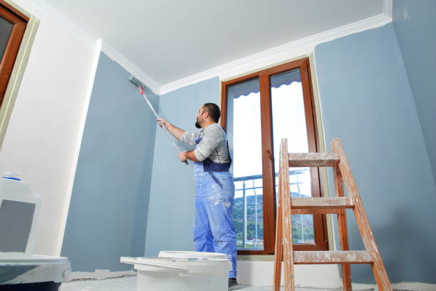 Best Real Estate Mold Inspection  in Cold Springs, NV