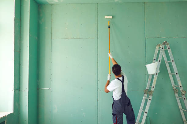 Best Industrial Mold Remediation  in Cold Springs, NV