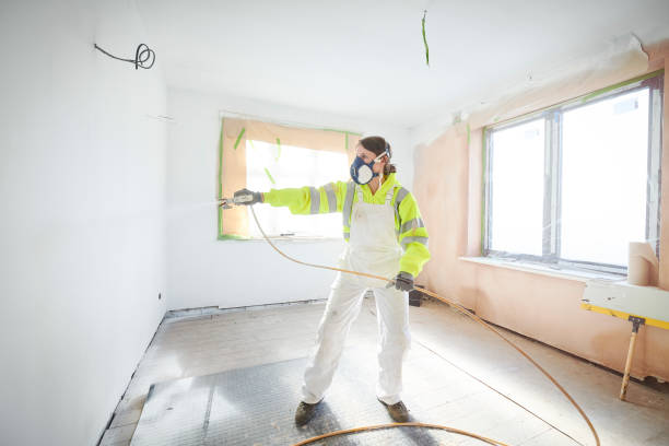 Best Basement Mold Removal  in Cold Springs, NV