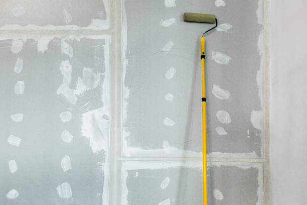 Best Water Damage & Mold Remediation  in Cold Springs, NV