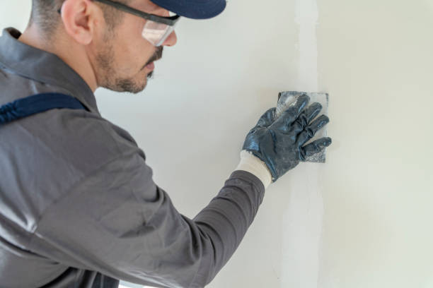 Trusted Cold Springs, NV Mold Removal Experts