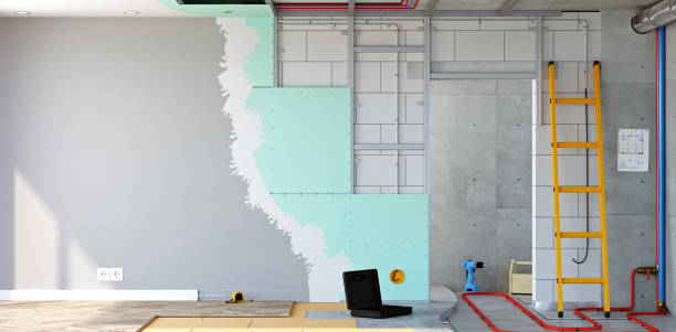 Best Black Mold Removal  in Cold Springs, NV