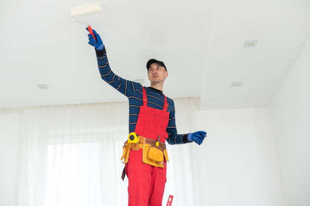 Best Black Mold Removal  in Cold Springs, NV
