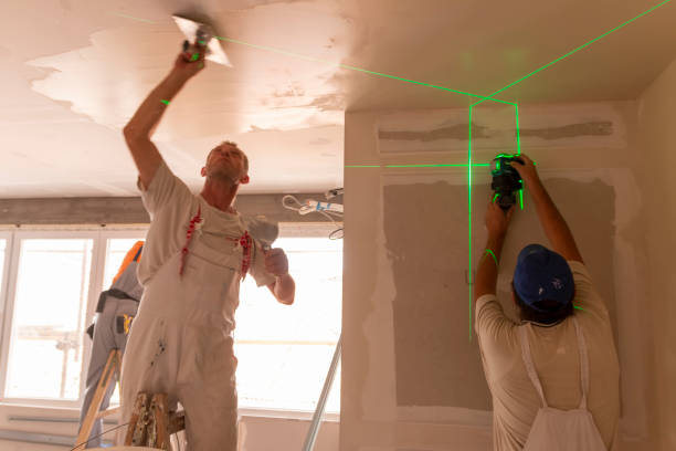  Cold Springs, NV Mold Removal Pros