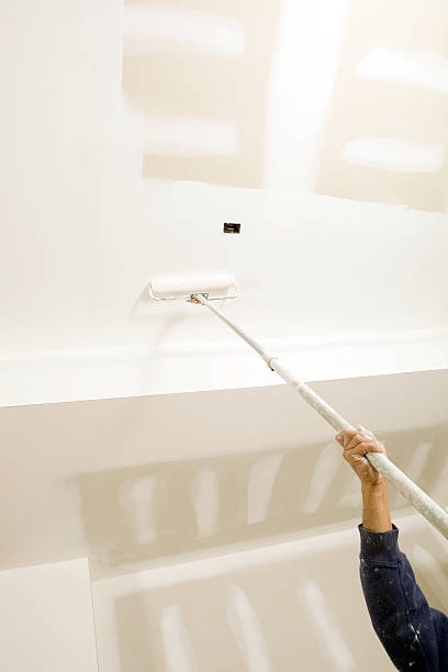 Best Attic Mold Removal  in Cold Springs, NV