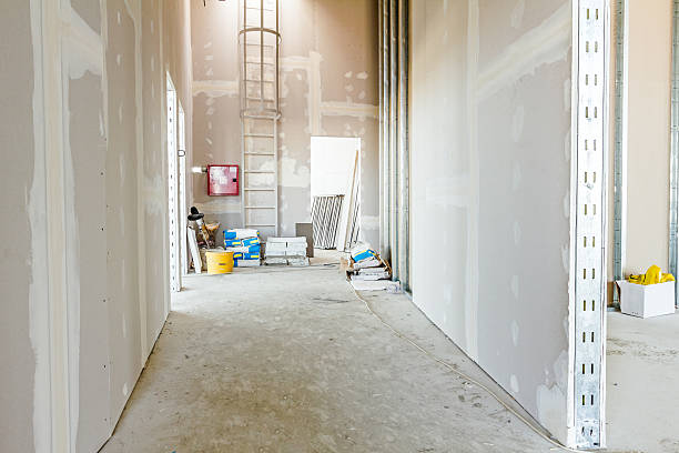 Best Mold Remediation for Healthcare Facilities  in Cold Springs, NV