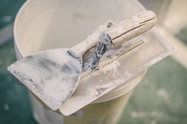 Best Forensic Mold Investigation  in Cold Springs, NV