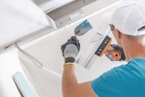 Best Commercial Mold Inspection  in Cold Springs, NV